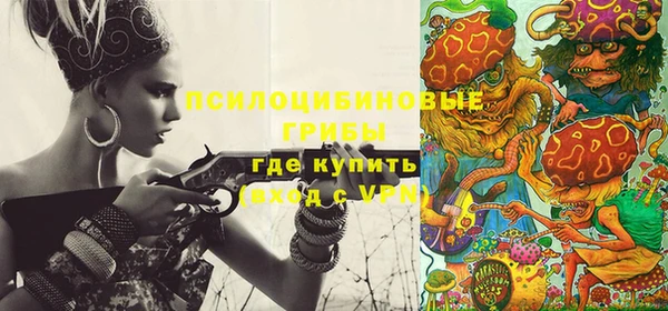сатива Алексин