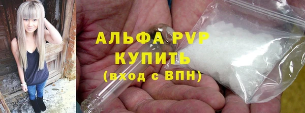 ГАЛЛЮЦИНОГЕННЫЕ ГРИБЫ Осинники