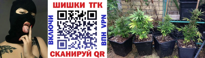 Конопля семена Вичуга